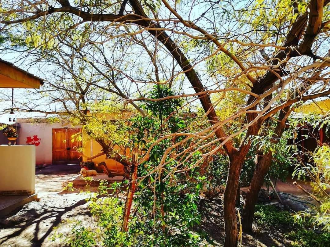 Hostal Candelaria San Pedro de Atacama Eksteriør billede