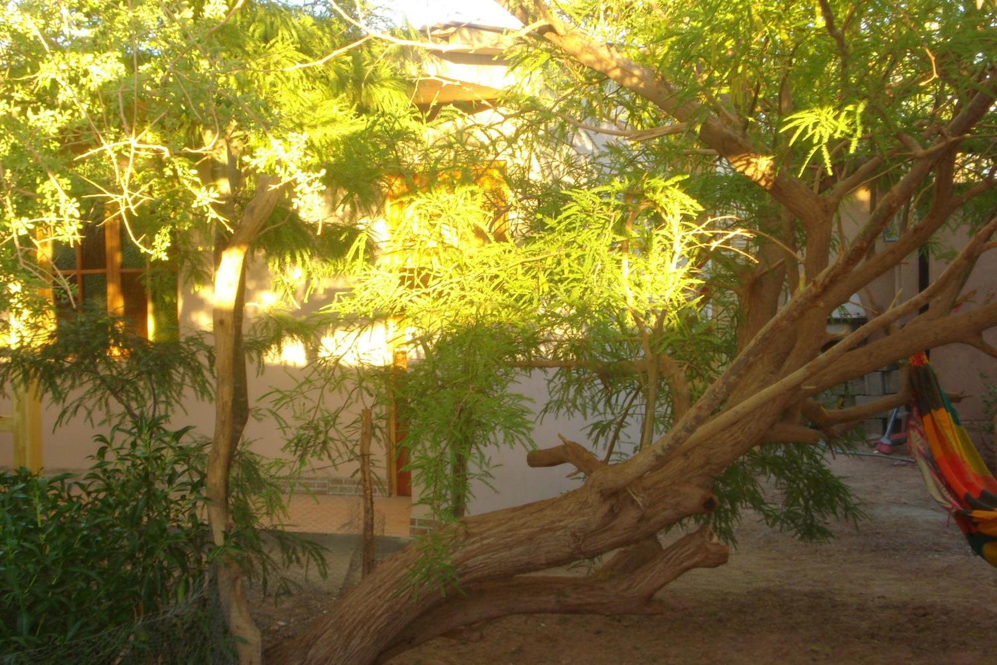 Hostal Candelaria San Pedro de Atacama Eksteriør billede